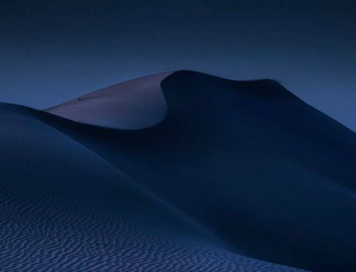 Dune Review „Sandige Träume“