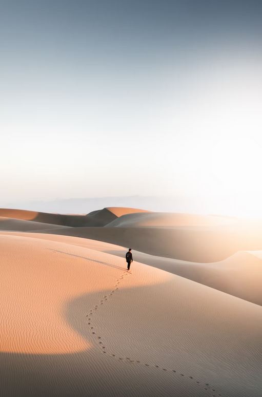 Dune Träume